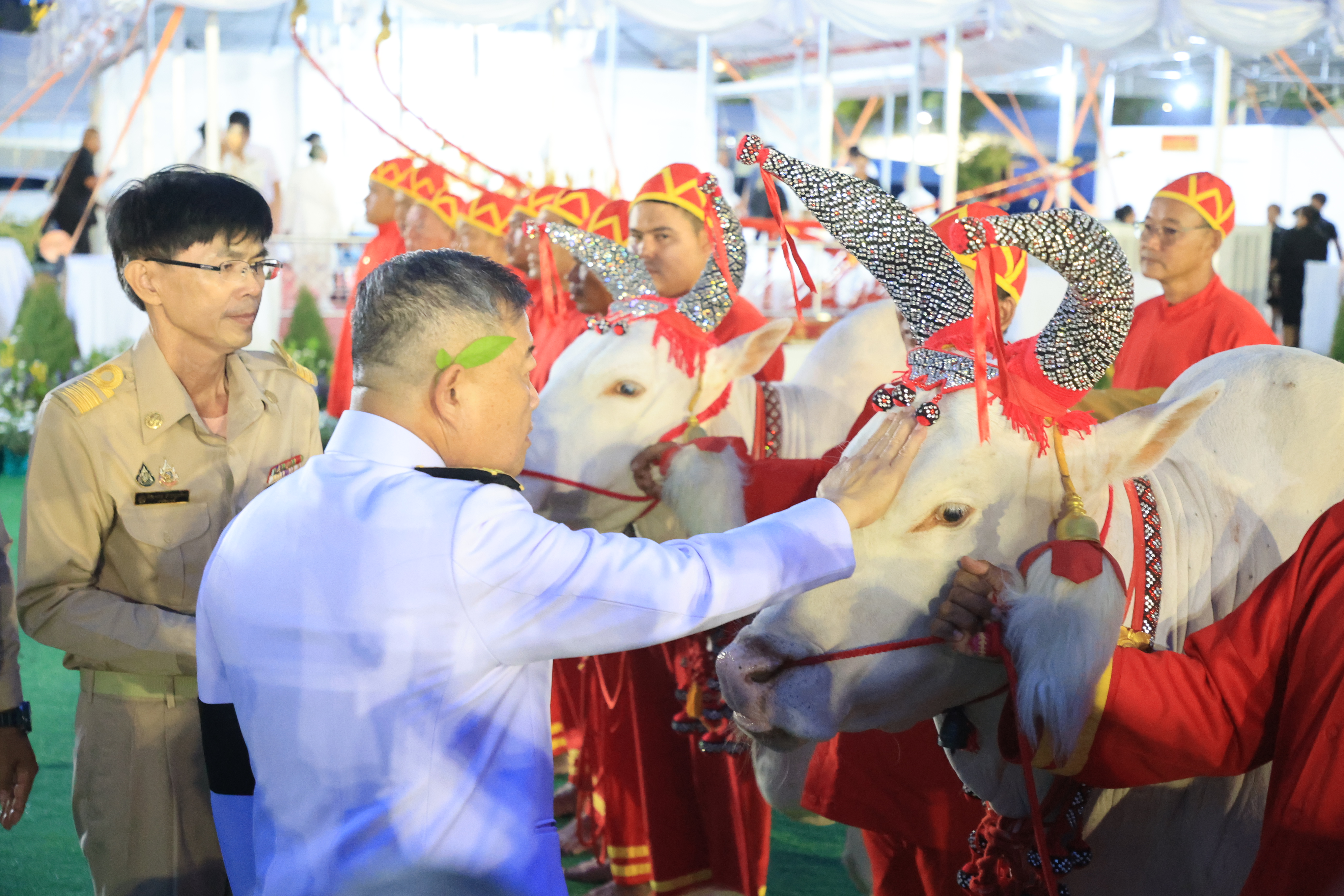 title - ปลัดเกษตรฯ ผู้ทำหน้าที่พระยาแรกนา พร้อมด้วยเทพีคู่หาบทองและเทพีคู่หาบเงิน ทำพิธีล้างมือพระยาแรกนา และเจิมหน้าพระโค